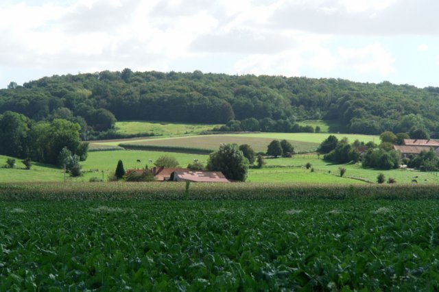 uitzicht op huifkar