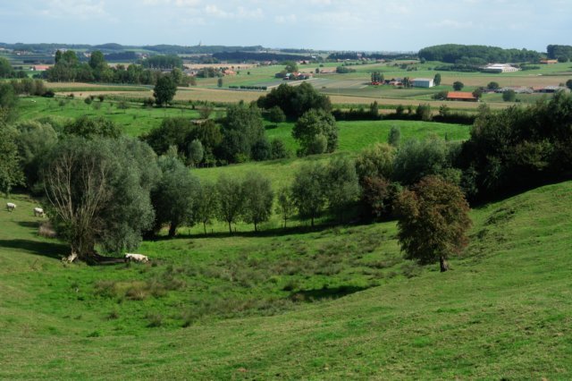 uitzicht op huifkar