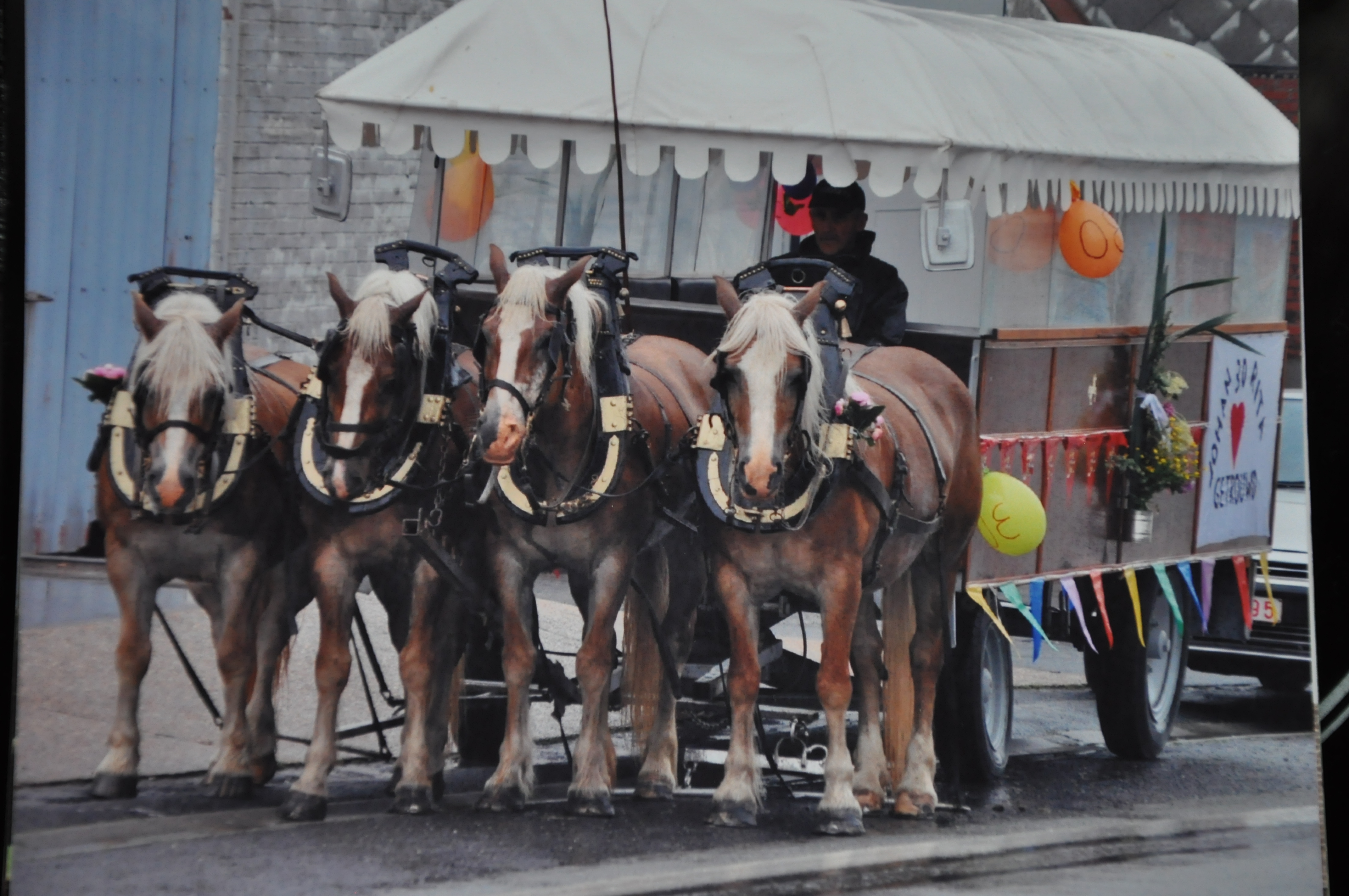 wagen 30volwassenen met 4paarden